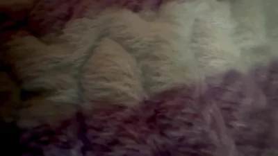 母狗
