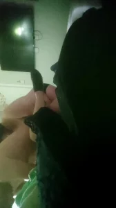 双飞大战